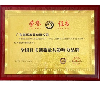 全國自主創(chuàng  )新**影響力品牌