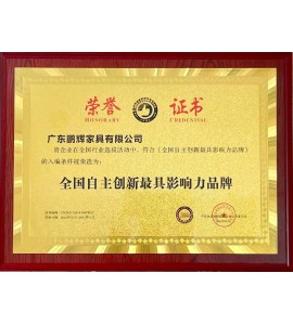 全國自主創(chuàng  )新**影響力品牌