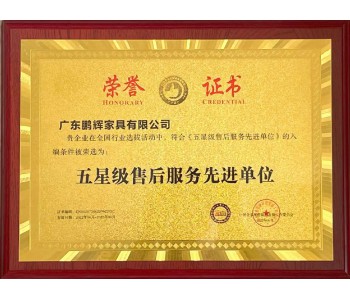 五星級售后服務(wù)先進(jìn)單位
